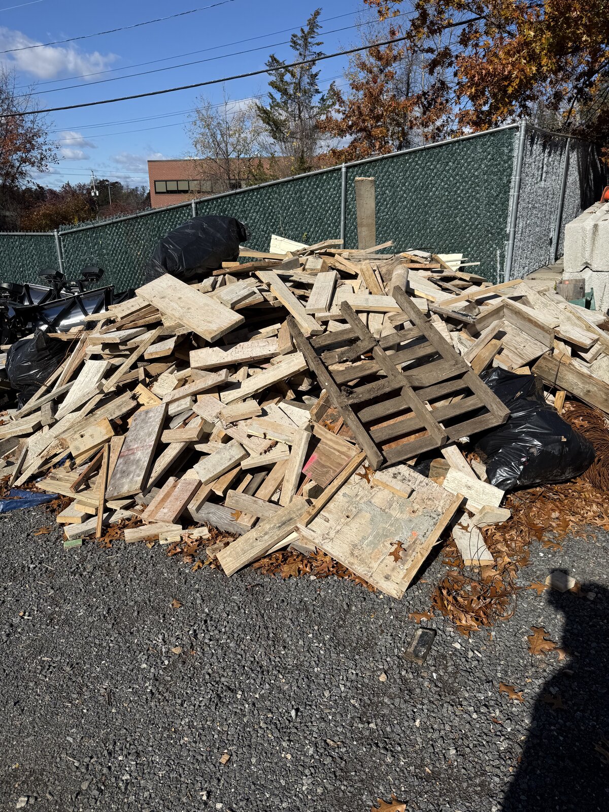 Before Yard Cleanout