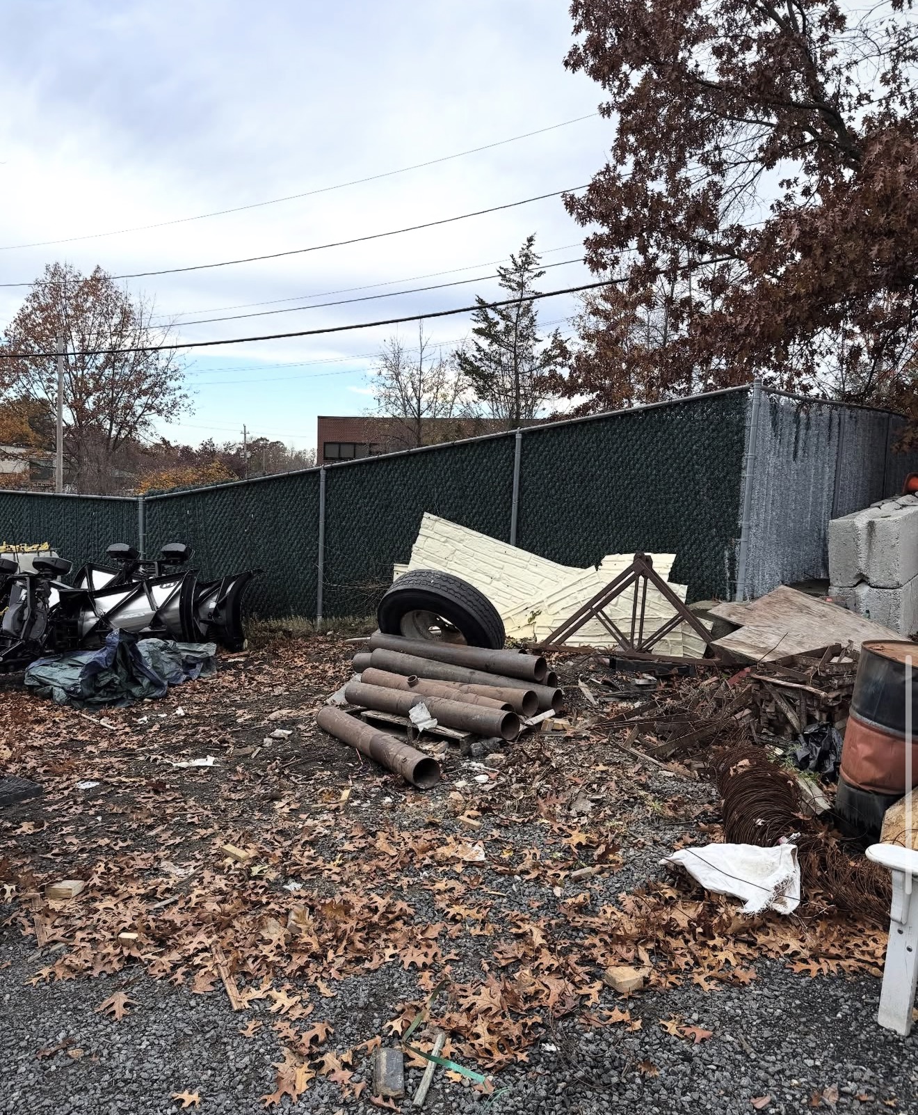 After Yard Cleanout